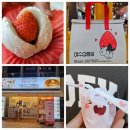 진남농장3 | 여수왔능가?여수딸기모찌는먹어봐야제! '여수 딸기모찌여수삼합당' 방문후기