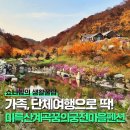 꿈의궁전 | 원주 가족단체모임으로 가기 좋은 미륵산계곡꿈의궁전마을펜션