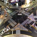 횡단보도 앞 이미지