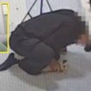 동안유치원 이미지