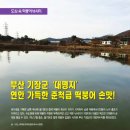 도서출판대명
