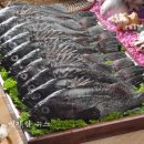 섬 우럭축제 이미지