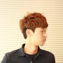 스왈로 이미지