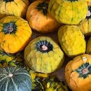 고창 떡방 이미지