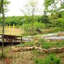 나비부화장 이미지