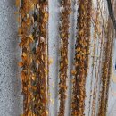 만덕백양체육공원 옆 | 백양산 둘레길 완주(주례-만덕)