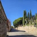 중앙역 건너편 버스정류장 | [이탈리아 여행] 치비타 디 바뇨레조 찾아가기: &lt;천공의 성 라퓨타&gt;의 배경이 되었다고 알려진 곳이자...