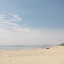 비치버거 이미지