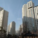 데시앙포레 이미지