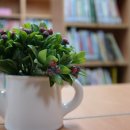 송산2동 작은도서관 이미지