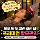 포커스라인프라자 | 안양탈모 두피관리 잘하는곳 모코드두피탈모센터 솔직후기
