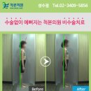 송파바른정형외과의원 네이버블로그