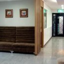 펫 앤 쉘터 동물병원 이미지