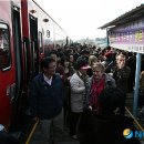 춘장대여기 이미지