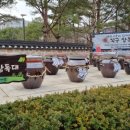세자율된장맘 이미지
