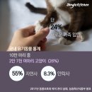 젤로스가구위탁급식소 | 고양이, 어디에서 입양할까요?