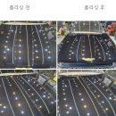 이노디테일링 | [만수동 유리막코팅 광택]제네시스 G80 페인트날림 완벽제거 시공후기