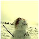 우산목장 이미지