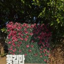 정원에 머물다 | 제주 겨울 여행 아이랑가볼만한곳 제주실내관광지 고흐의 정원 내돈내산 솔직후기