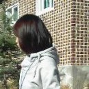 미돌 이미지