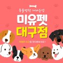 도그플러스 애견미용 이미지