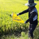 농업인상담소 옆 이미지