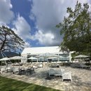 카페파인 이미지