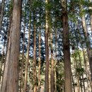 금광여관 이미지