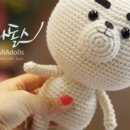파파독 이미지