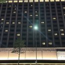 서울가든호텔 | 서울 가성비 호캉스 서울가든호텔 테라스 더블 내돈내산 후기