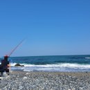 세븐일레븐 울산주전해변점 이미지