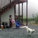 다모아민박 이미지