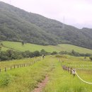 하늘소리목장 이미지