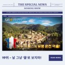 금송사우나 | OtvN 프리한19 29회 | 뼈마디 쑤실 때 떠나는 세계 온천 19