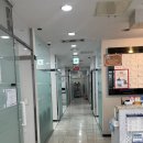 대전야생동물구조관리센터 | 대전 강아지 분양 고민된다면 📍 더펫 유성본점 국내유일 반려동물 복합센터 직접 가본 솔직 후기