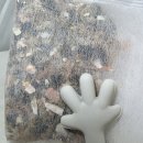 청정해역영덕대게 | [제품 리뷰] 간편한데 깊은 맛 시원한 대게의 풍미 성진홀푸드 만능육수 '영덕대게다시팩' 솔직 후기