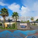 제주문릿 온수수영장 독채풀빌라 | 제주 풀빌라 소랑 내돈내산 온수풀 있는 가족 독채 스위트패밀리 가든풀 숙소 후기