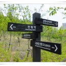 개명초등학교 이미지