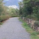 팔금산 이미지