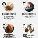 에코레비헤어헤드스파광주 이미지