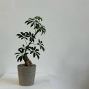 학하동로1 이미지