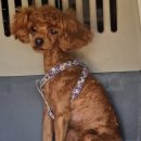 개미어린이집 이미지