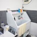 원 반려동물 미용실 이미지