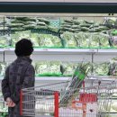 대신유통 이미지