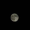 (주)롯데프리미엄아울렛파주점 이미지