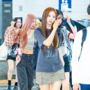 사뿐사뿐 이미지