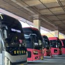 청량리중앙약국 | 모나 용평 뚜벅이 후기 / KTX 및 셔틀 이용 25/26시즌