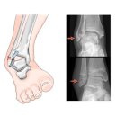 21세기의원 이미지