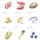 해독주스 변비에좋은음식