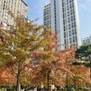 심현남동탄제일산부인과의원 | 나의 난임 일기 1